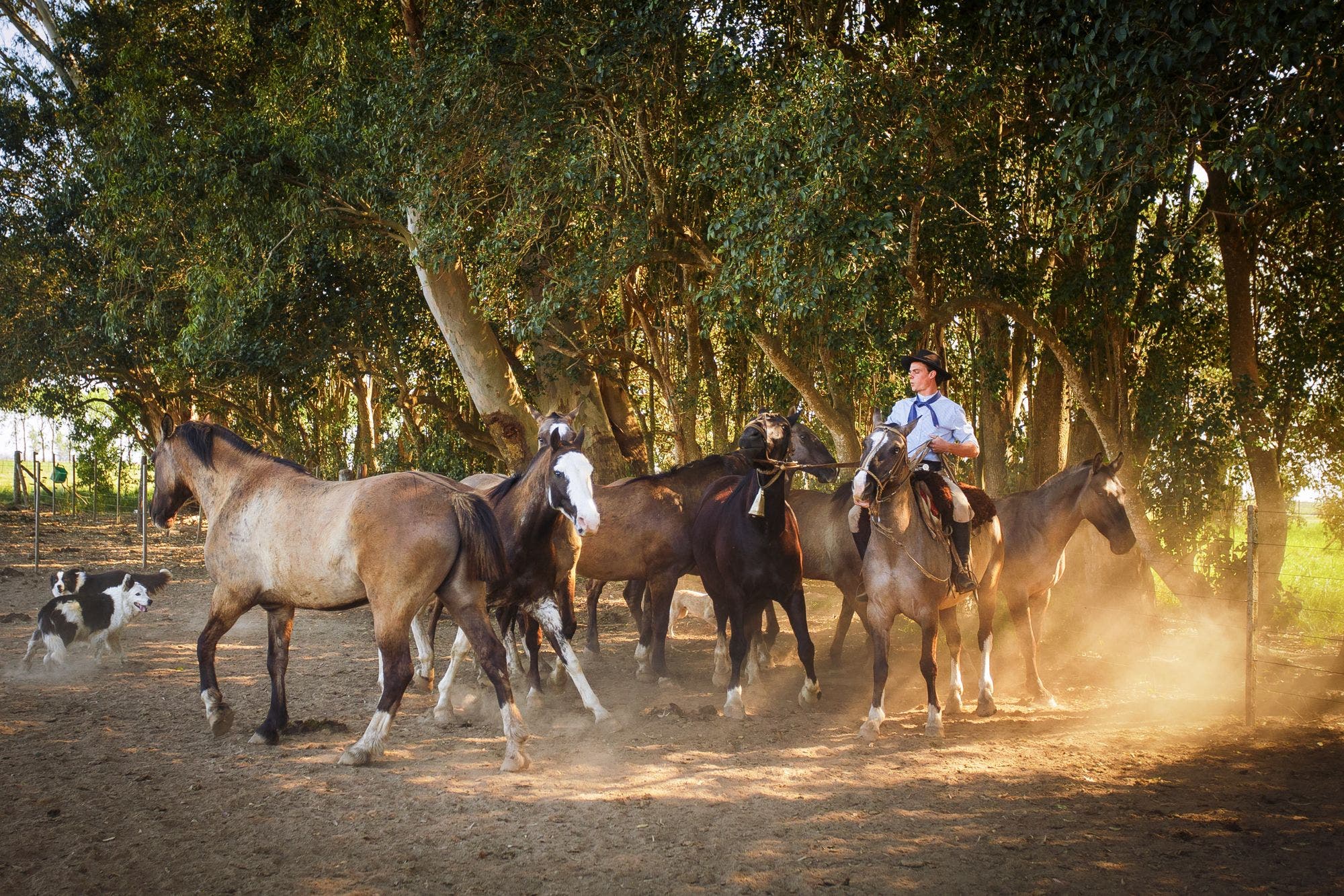 gauchos-centennials-lejos-de-tiktok-los-jovenes-que-retoman-los-oficios-tradicionales-del-campo-1 Gauchos Centennials. Lejos de TikTok, los jóvenes que retoman los oficios tradicionales del campo