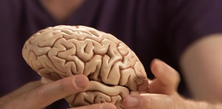 cuantos-dias-de-vacaciones-necesita-tu-cerebro-para-descansar-y-renovarse-segun-los-expertos-3 Cuántos días de vacaciones necesita tu cerebro para descansar y renovarse, según los expertos