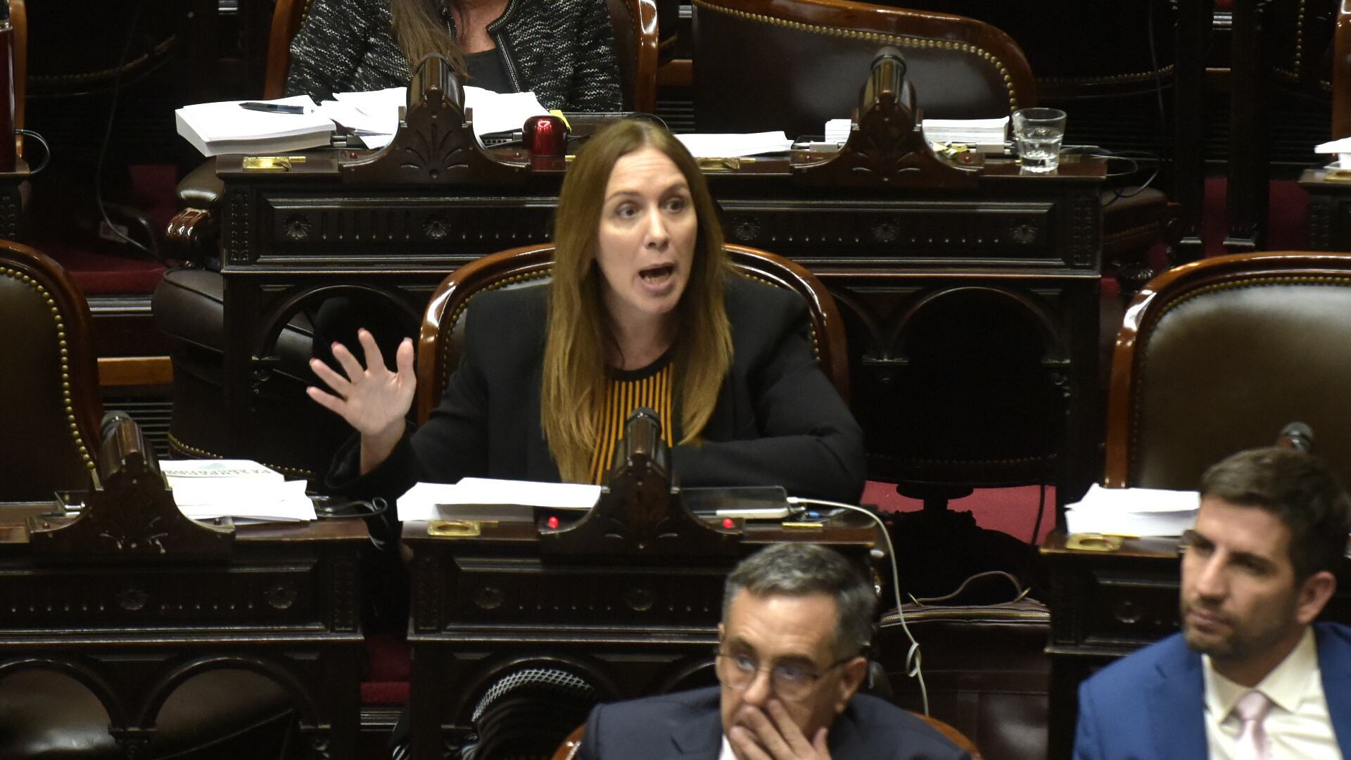 elecciones-legislativas-2025-todas-las-bancas-en-juego-y-los-nombres-que-podrian-dejar-el-congreso-3 Elecciones legislativas 2025: todas las bancas en juego y los nombres que podrían dejar el Congreso