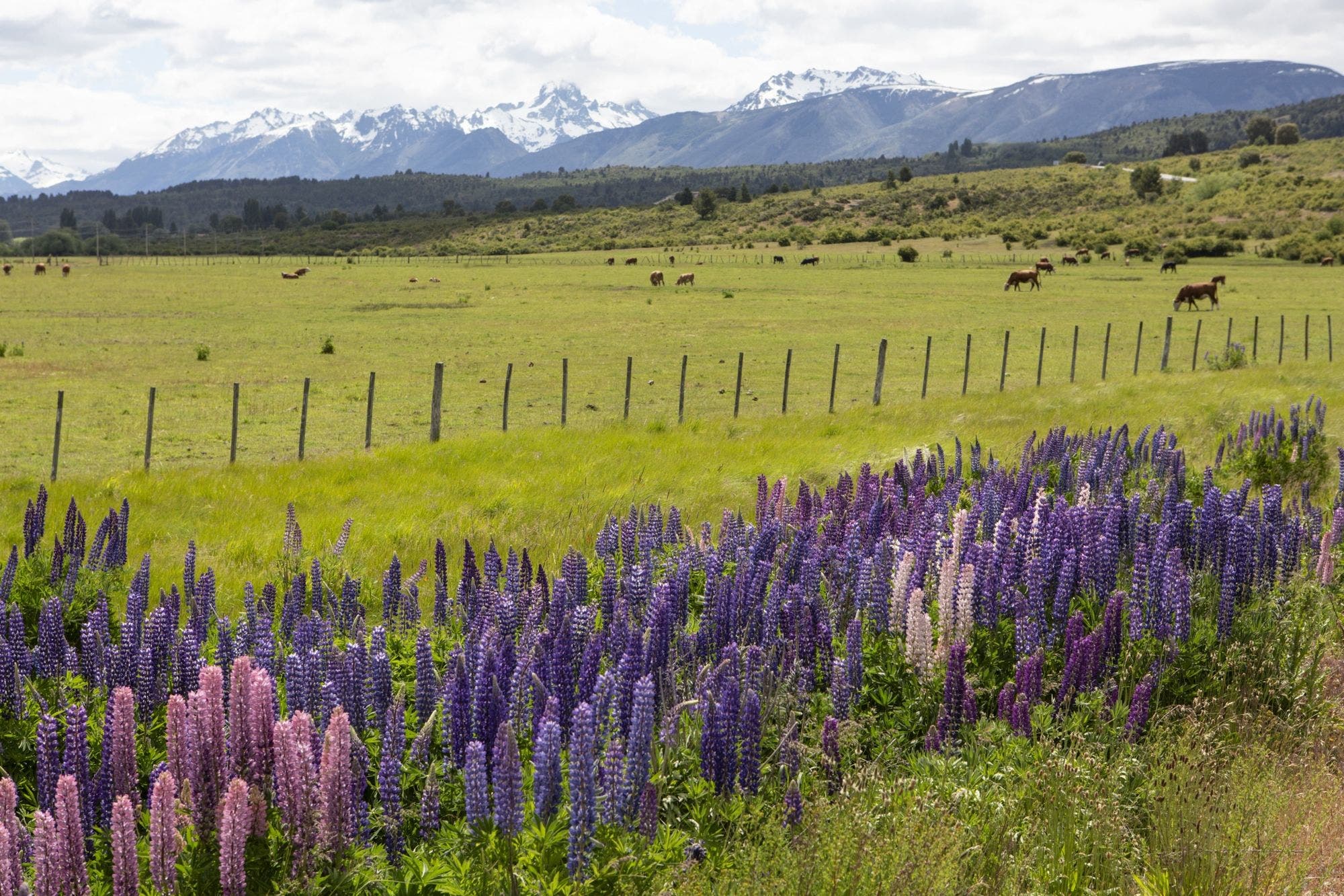 patagonia-a-fondo-rutas-maravillosas-en-nuestro-sur-5 Patagonia a fondo: rutas maravillosas en nuestro sur