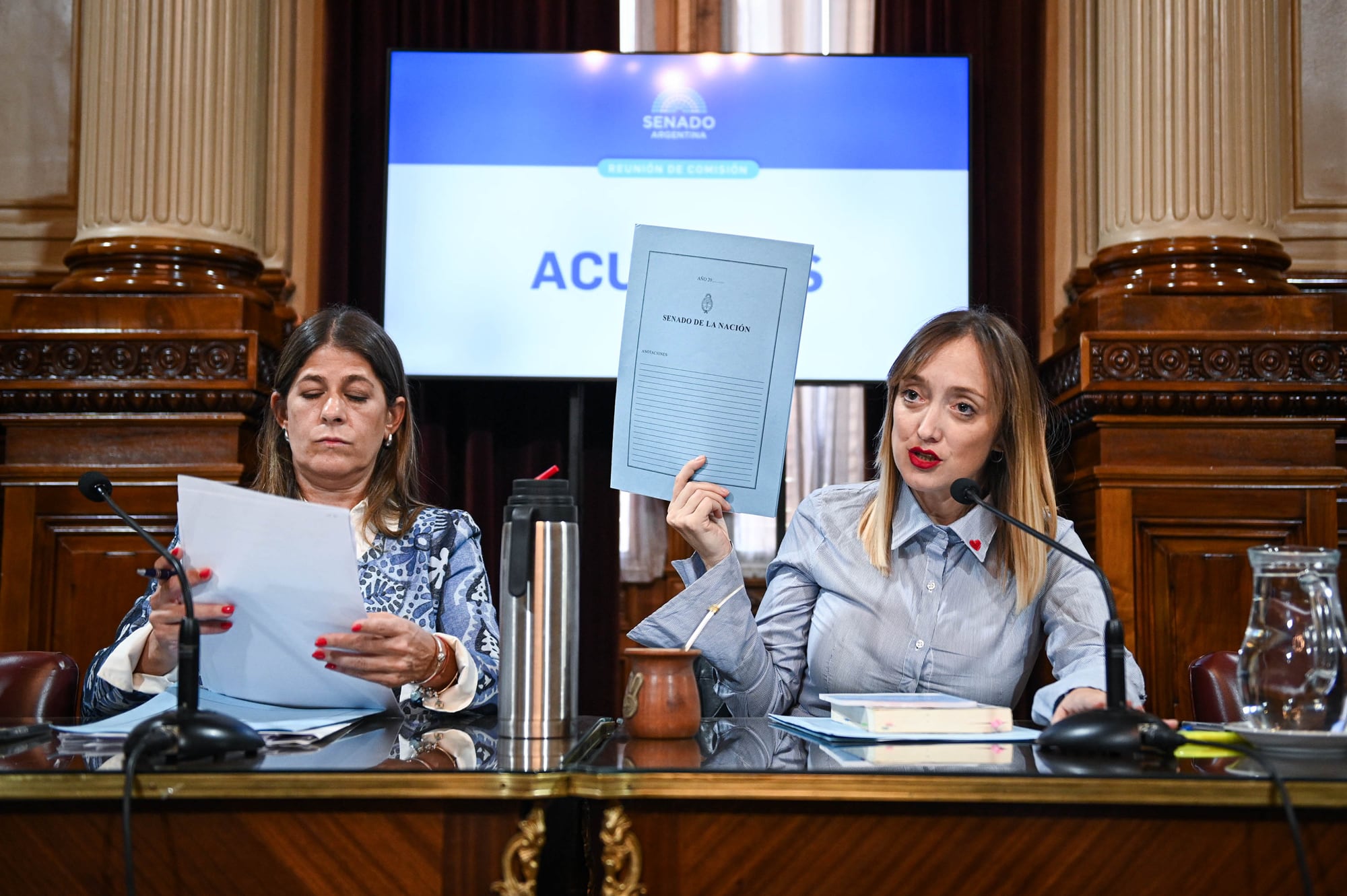 el-pliego-de-manuel-garcia-mansilla-quedo-mas-cerca-de-su-rechazo-en-el-senado-con-dos-dictamenes-de-comision-1 El pliego de Manuel García-Mansilla quedó más cerca de su rechazo en el Senado, con dos dictámenes de comisión