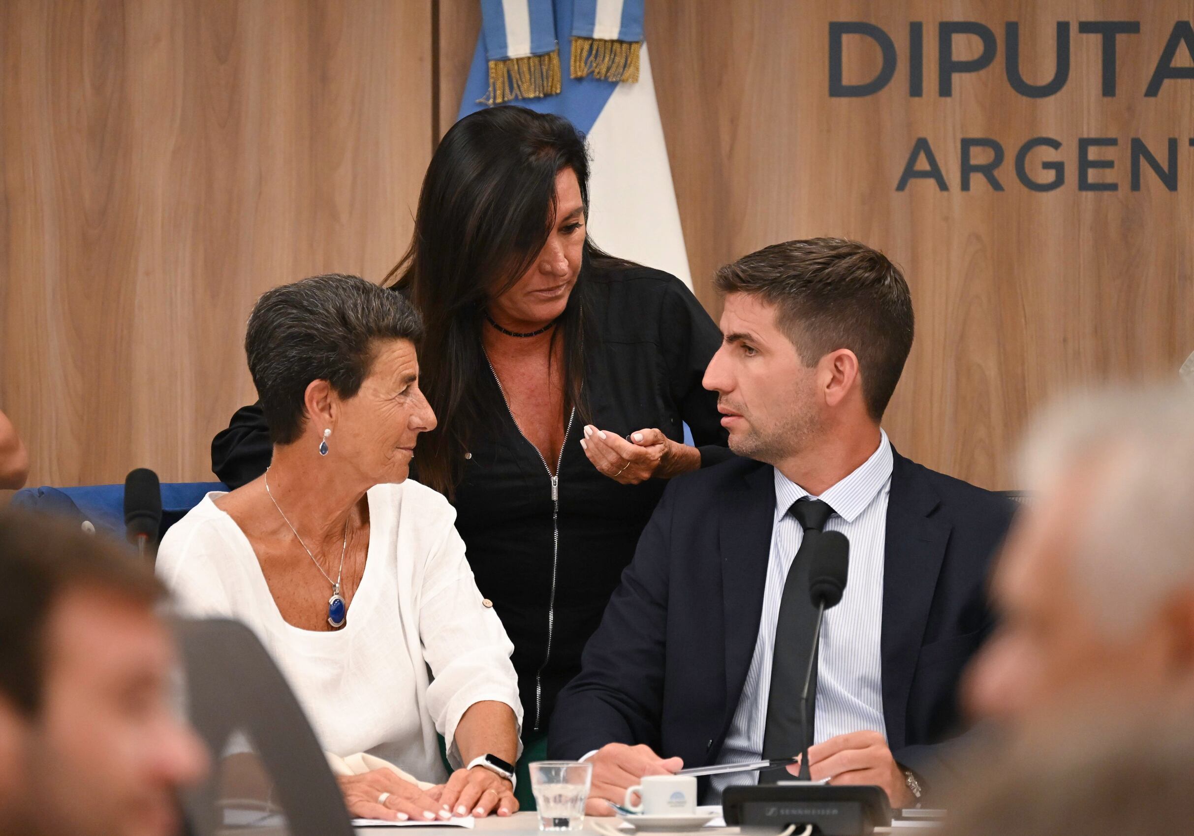 el-martes-retoman-el-debate-para-tratar-ficha-limpia-pero-modificando-el-codigo-penal-1 El martes retoman el debate para tratar Ficha Limpia, pero modificando el Código Penal