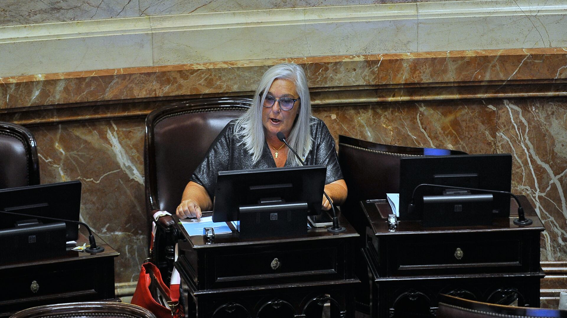 senado-crecen-las-dudas-por-una-sesion-solicitada-dos-veces-con-agenda-incomoda-para-el-gobierno-1 Senado: crecen las dudas por una sesión solicitada dos veces con agenda incómoda para el Gobierno