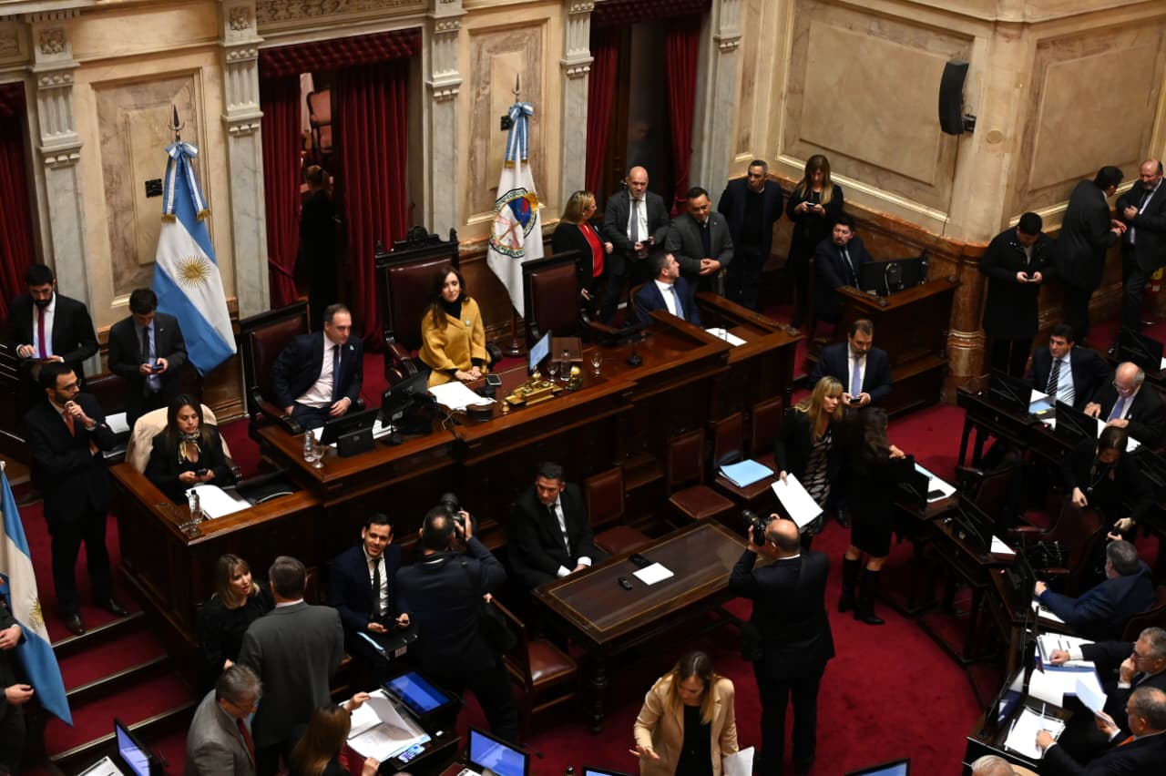 dnu-que-argumentos-esgrime-la-oposicion-en-el-senado-para-modificar-una-herramienta-clave-del-gobierno-1 DNU: qué argumentos esgrime la oposición en el Senado para modificar una herramienta clave del Gobierno