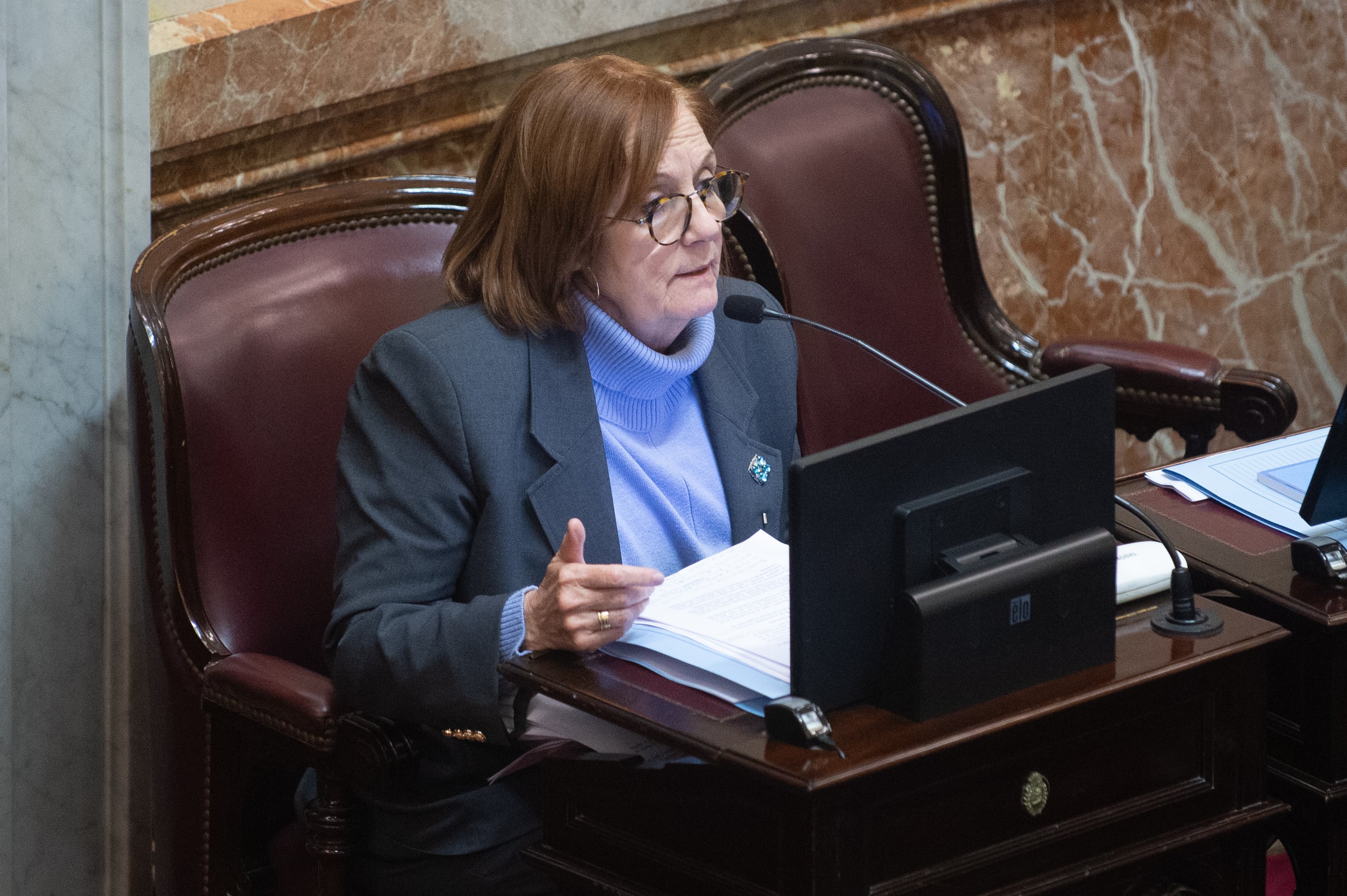 dnu-que-argumentos-esgrime-la-oposicion-en-el-senado-para-modificar-una-herramienta-clave-del-gobierno DNU: qué argumentos esgrime la oposición en el Senado para modificar una herramienta clave del Gobierno