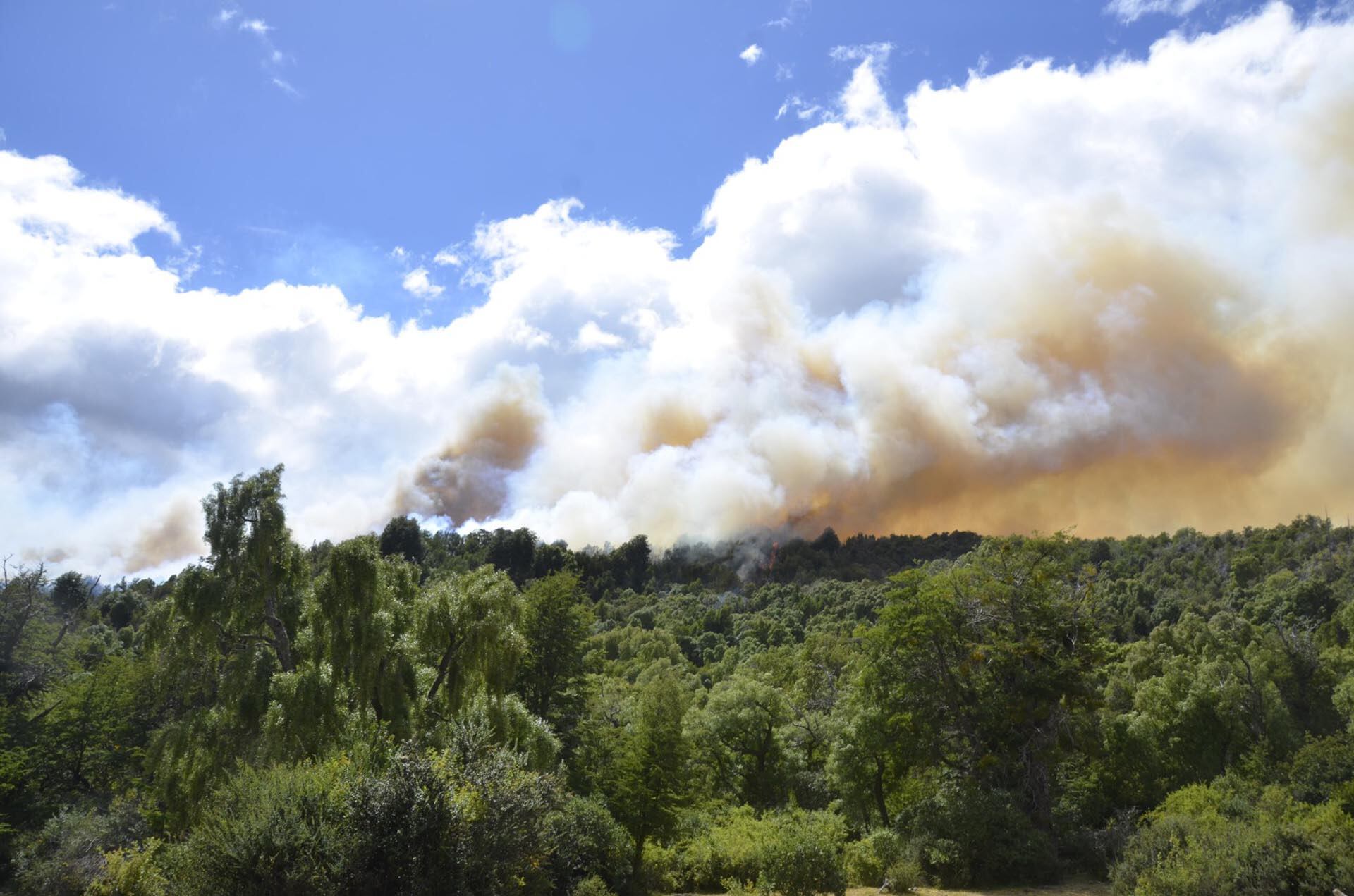 una-ong-aseguro-que-el-gobierno-recorto-hasta-el-80-de-fondos-en-areas-de-politica-ambiental-2 Una ONG aseguró que el Gobierno recortó hasta el 80% de fondos en áreas de política ambiental
