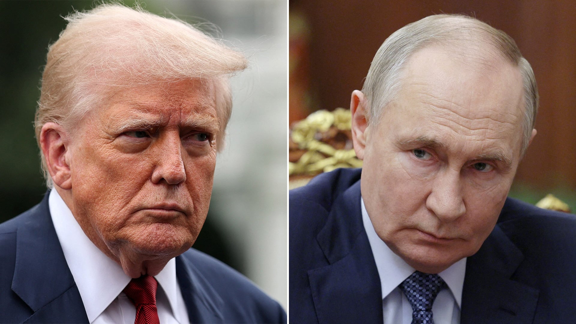 zelensky-hablo-con-milei-y-destaco-su-colaboracion-para-lograr-la-paz-con-putin-2 Zelensky habló con Milei y destacó su colaboración para lograr la paz con Putin