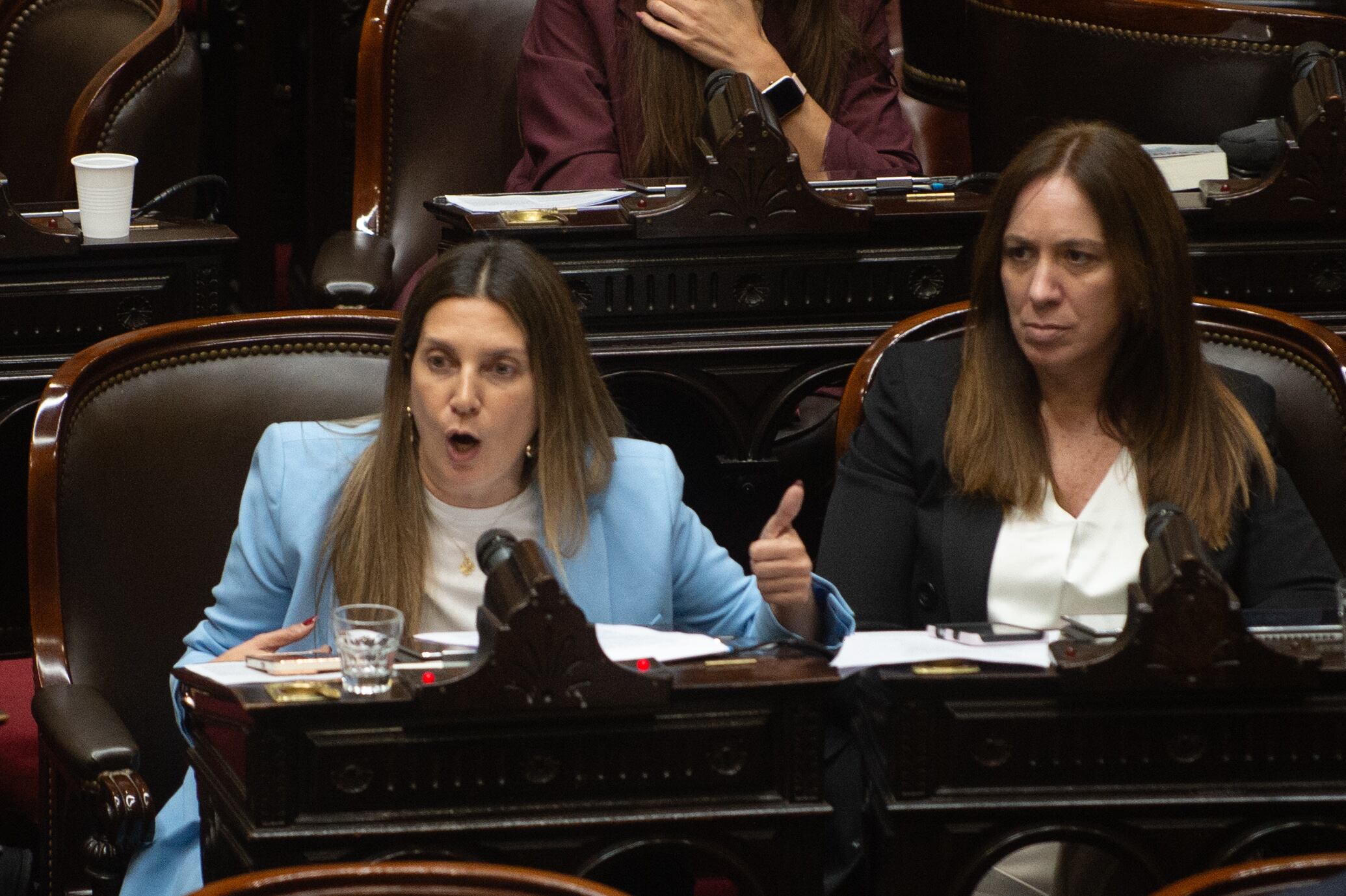 contundente-rechazo-a-los-vetos-de-milei-diputados-ratifico-el-financiamiento-del-garrahan-y-las-universidades-3 Contundente rechazo a los vetos de Milei: Diputados ratificó el financiamiento del Garrahan y las universidades