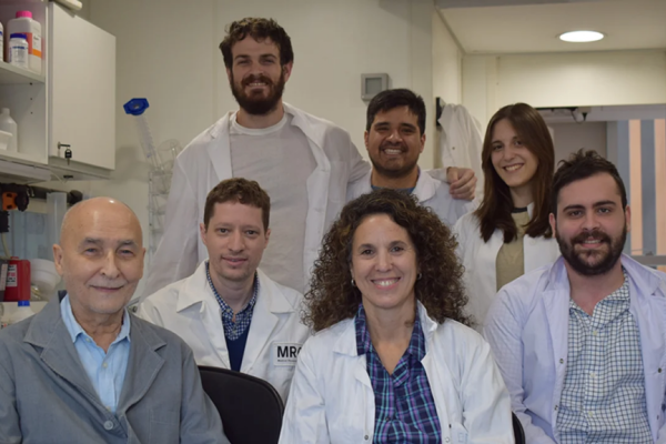 El CONICET logró visualizar con IA por primera vez un neurorreceptor implicado en enfermedades neurológicas