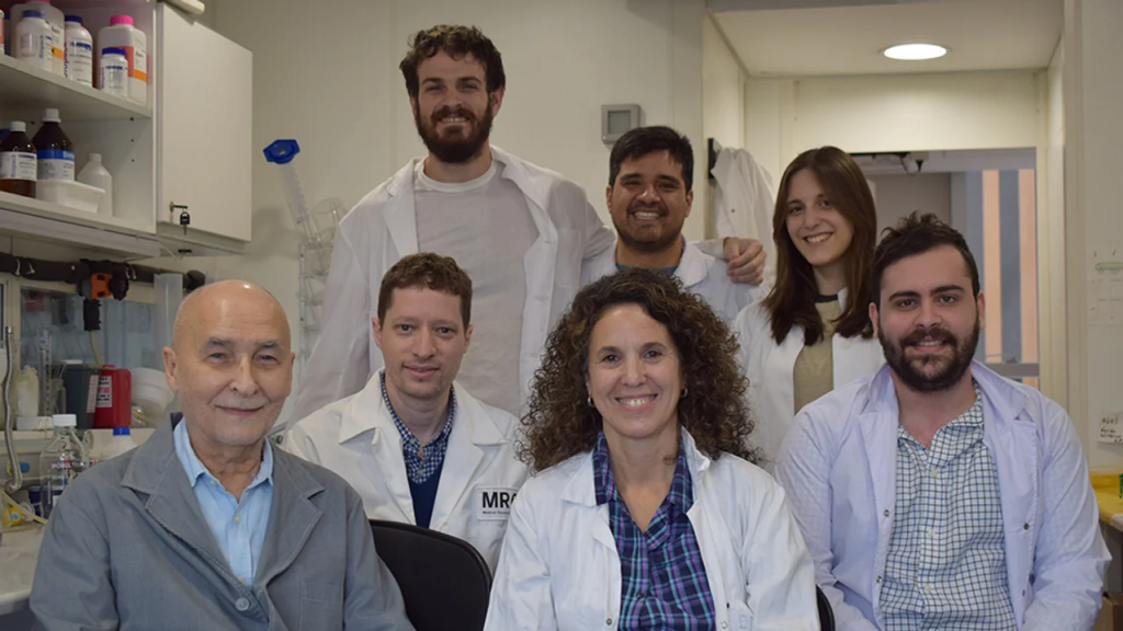 el-conicet-logro-visualizar-con-ia-por-primera-vez-un-neurorreceptor-implicado-en-enfermedades-neurologicas El CONICET logró visualizar con IA por primera vez un neurorreceptor implicado en enfermedades neurológicas