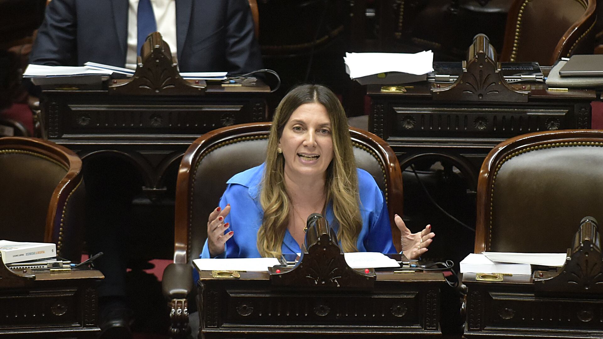 quienes-definiran-la-suerte-de-los-vetos-de-milei-al-financiamiento-del-garrahan-y-las-universidades-2 Quiénes definirán la suerte de los vetos de Milei al financiamiento del Garrahan y las universidades
