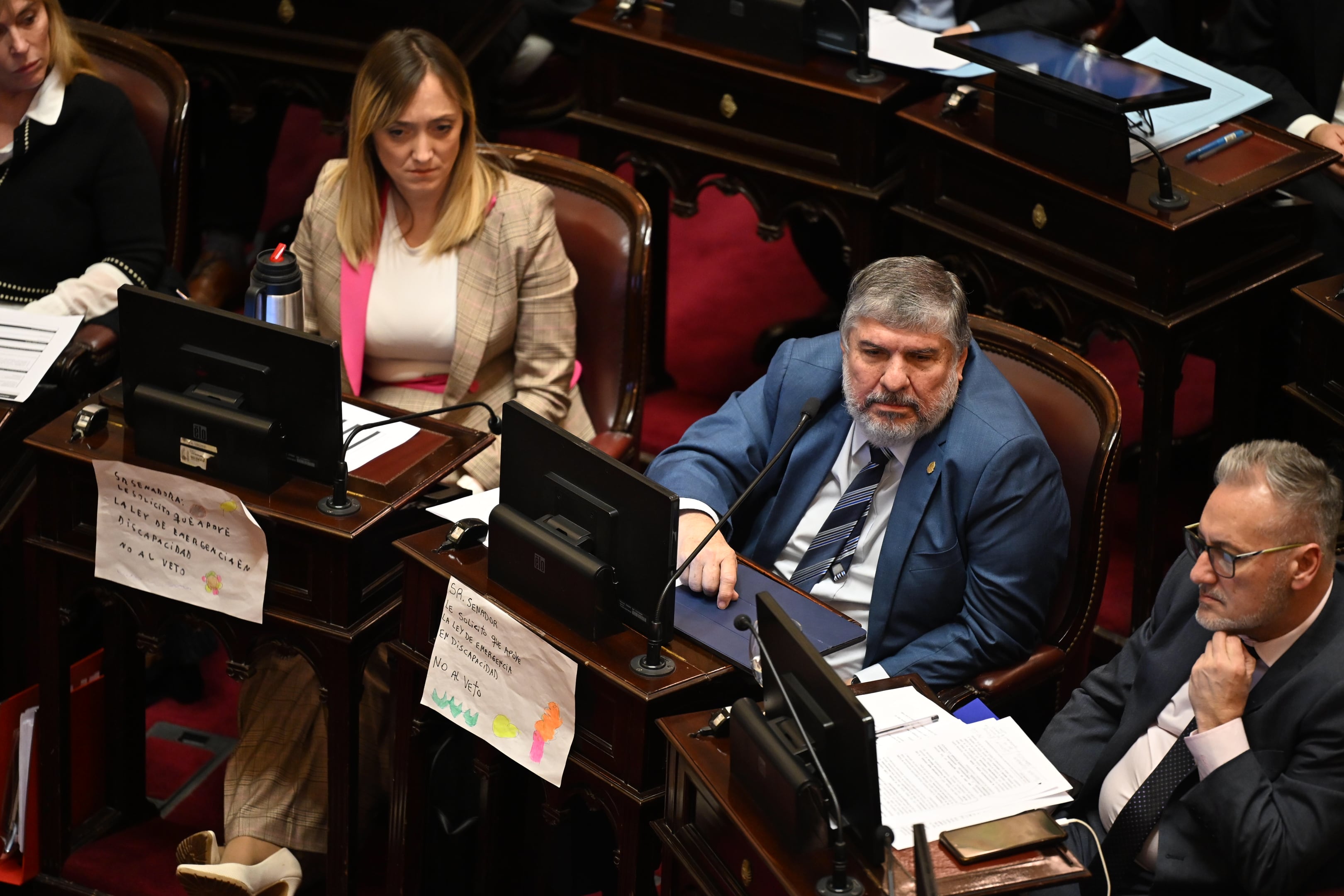 senado-la-oposicion-dejo-sin-efecto-el-veto-de-milei-y-reactivo-la-ley-de-emergencia-en-discapacidad-3 Senado: la oposición dejó sin efecto el veto de Milei y reactivó la ley de emergencia en discapacidad