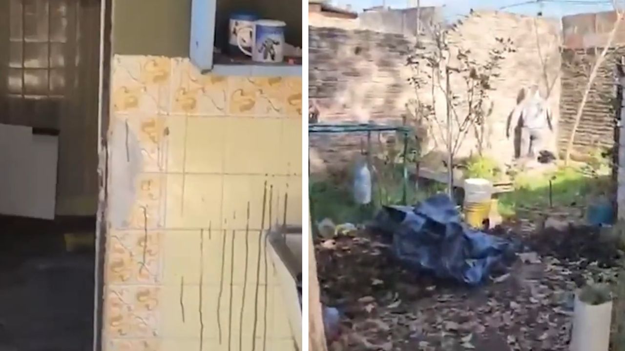 video-asi-es-la-casa-del-horror-donde-hallaron-a-las-tres-jovenes-asesinadas Video: así es la casa del horror donde hallaron a las tres jóvenes asesinadas