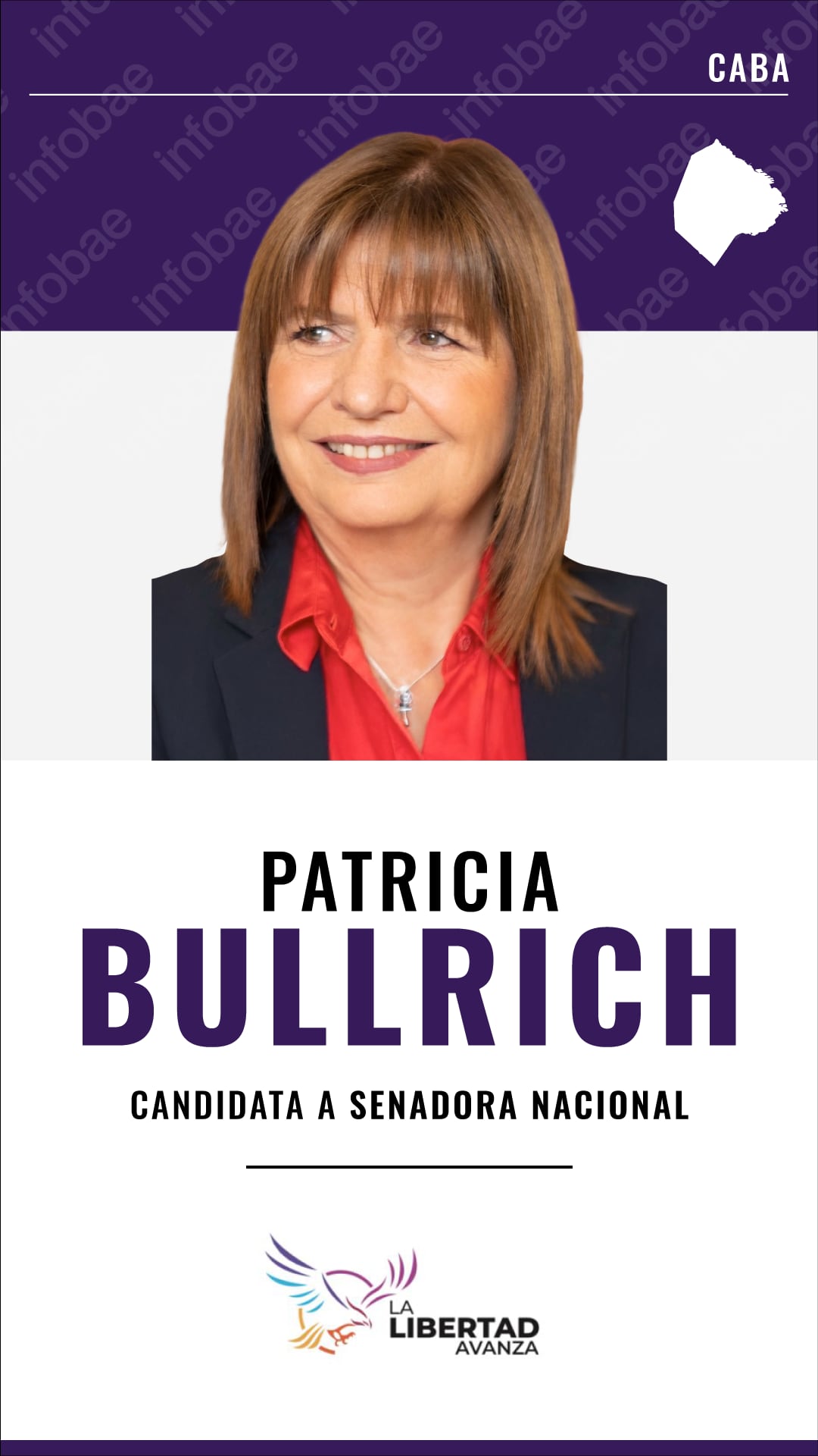 bullrich-hablo-del-vinculo-que-tendria-con-villarruel-y-adelanto-que-buscara-meter-goles-en-el-senado-2 Bullrich habló del vínculo que tendría con Villarruel y adelantó que buscará “meter goles” en el Senado