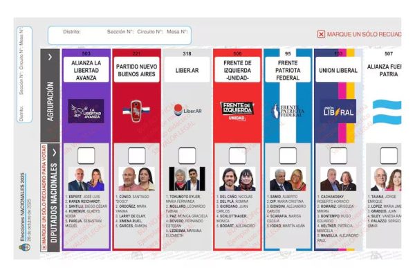El fiscal descartó reimprimir las boletas en la Provincia de Buenos Aires para sacar a Espert y ahora debe definir la Cámara Nacional Electoral