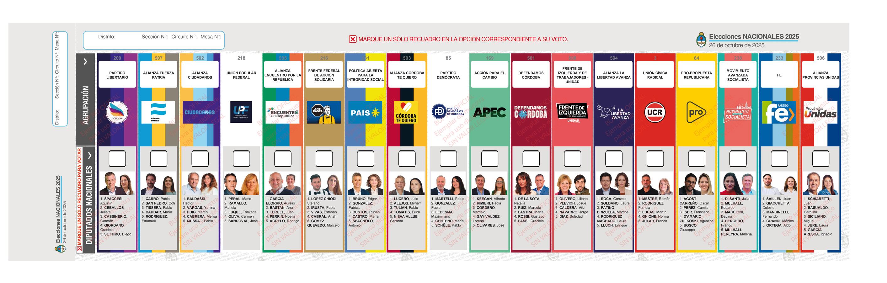 elecciones-2025-como-quedo-la-configuracion-de-alianzas-en-los-24-distritos-del-pais-7 Elecciones 2025: cómo quedó la configuración de alianzas en los 24 distritos del país
