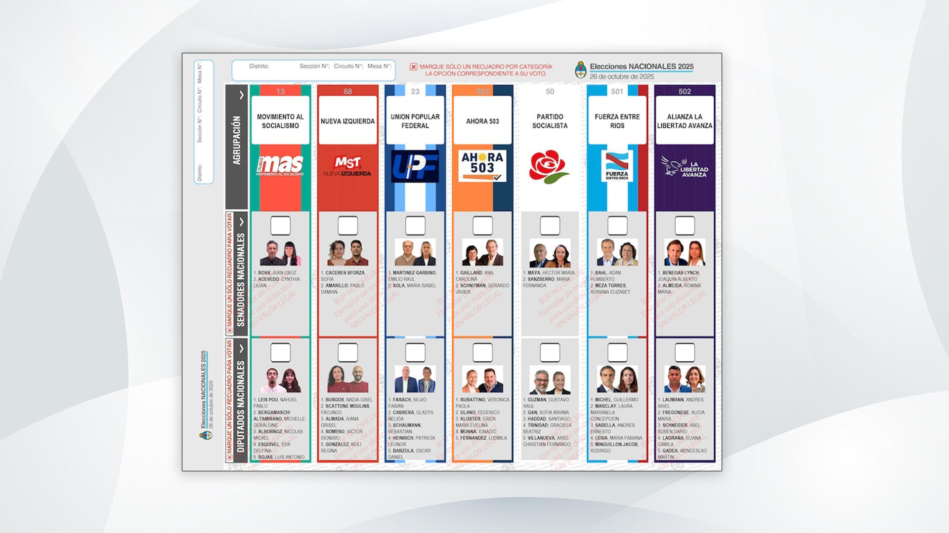 elecciones-2025-como-quedo-la-configuracion-de-alianzas-en-los-24-distritos-del-pais-8 Elecciones 2025: cómo quedó la configuración de alianzas en los 24 distritos del país
