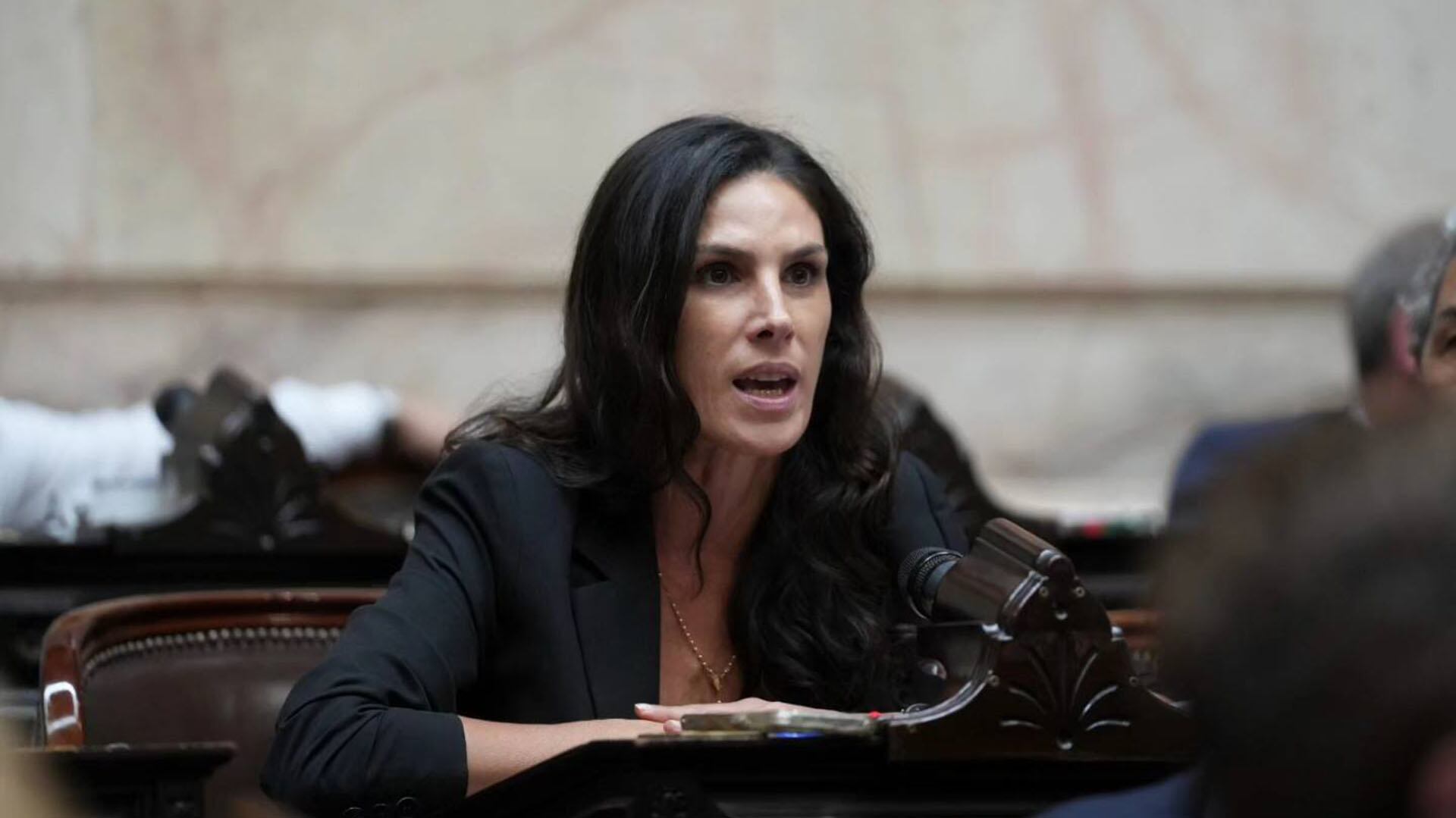 la-furia-de-una-diputada-al-exigir-el-desafuero-de-otro-legislador-por-difundir-fake-news-no-sean-machirulos-1 La furia de una diputada al exigir el desafuero de otro legislador por difundir fake news: “!No sean machirulos!”