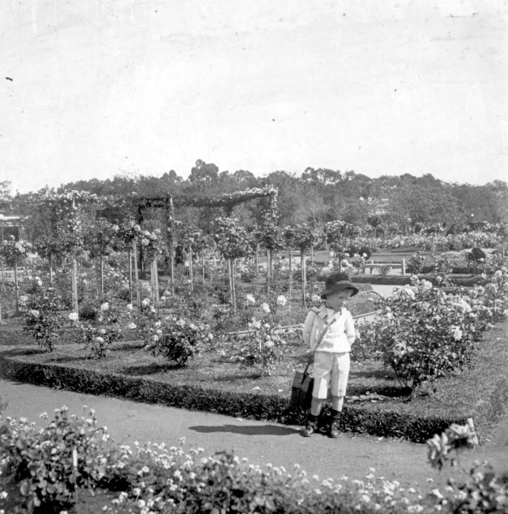 quien-planto-buenos-aires-4 ¿Quién plantó Buenos Aires?