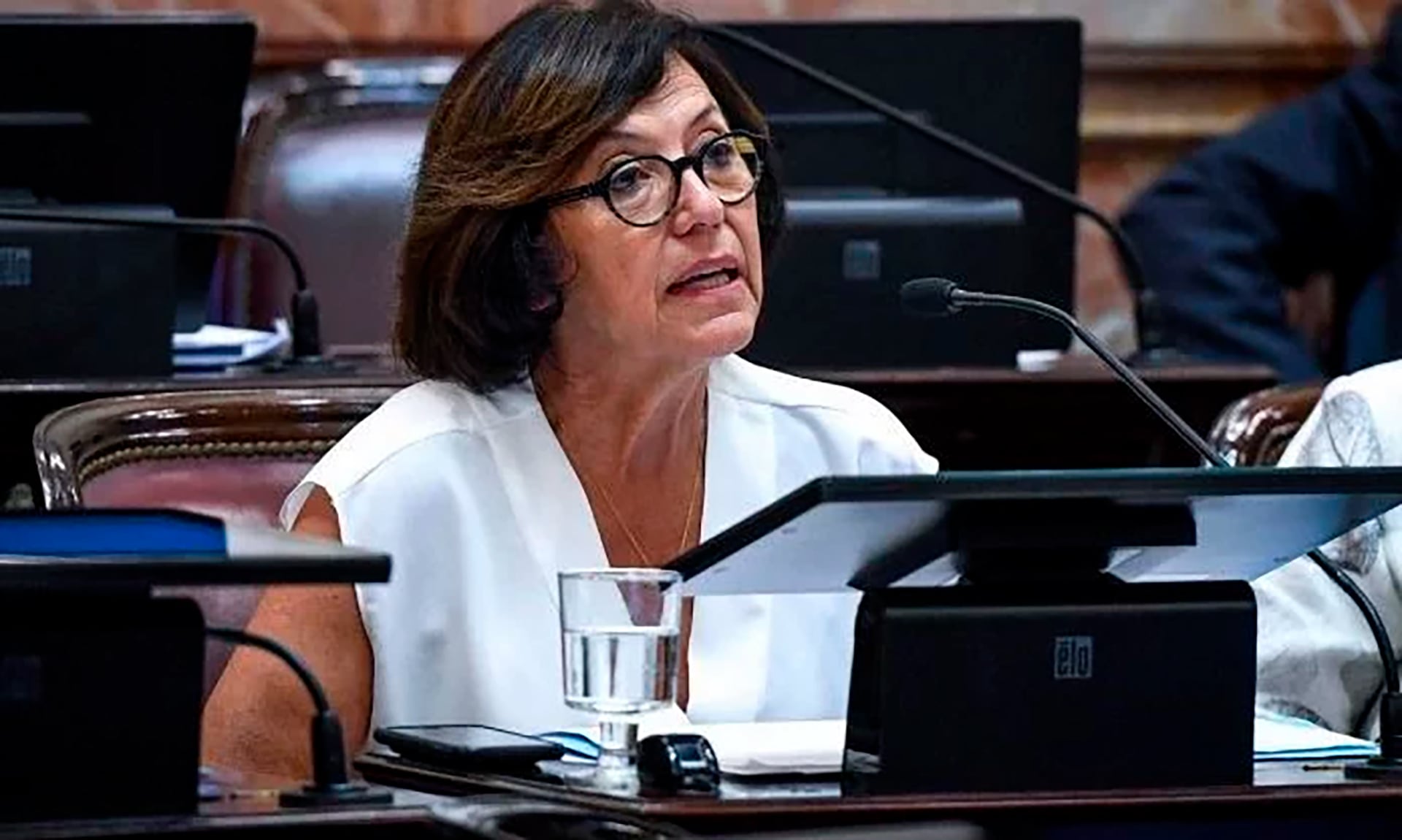 senado-en-vivo-el-debate-de-los-vetos-de-milei-al-financiamiento-del-garrahan-y-universidades-2 Senado, en vivo: el debate de los vetos de Milei al financiamiento del Garrahan y universidades