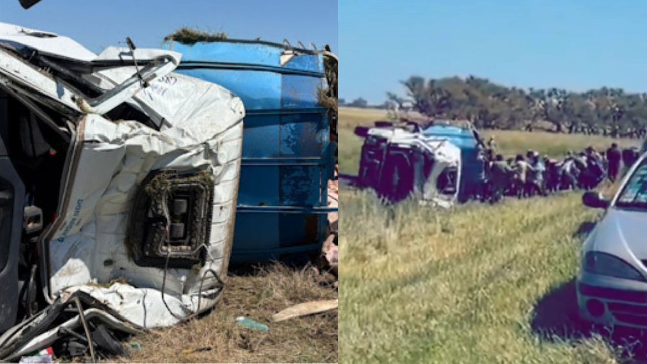 vergonzoso-volco-un-camion-con-cerdos-y-la-ruta-se-convirtio-en-una-carniceria Vergonzoso: volcó un camión con cerdos y la ruta se convirtió en una carnicería