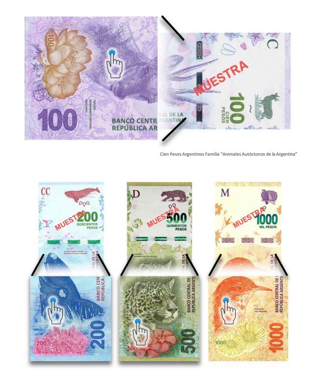 crearon-una-guia-para-identificar-pesos-dolares-y-euros-truchos-como-darse-cuenta-2 Crearon una guía para identificar pesos, dólares y euros truchos: cómo darse cuenta