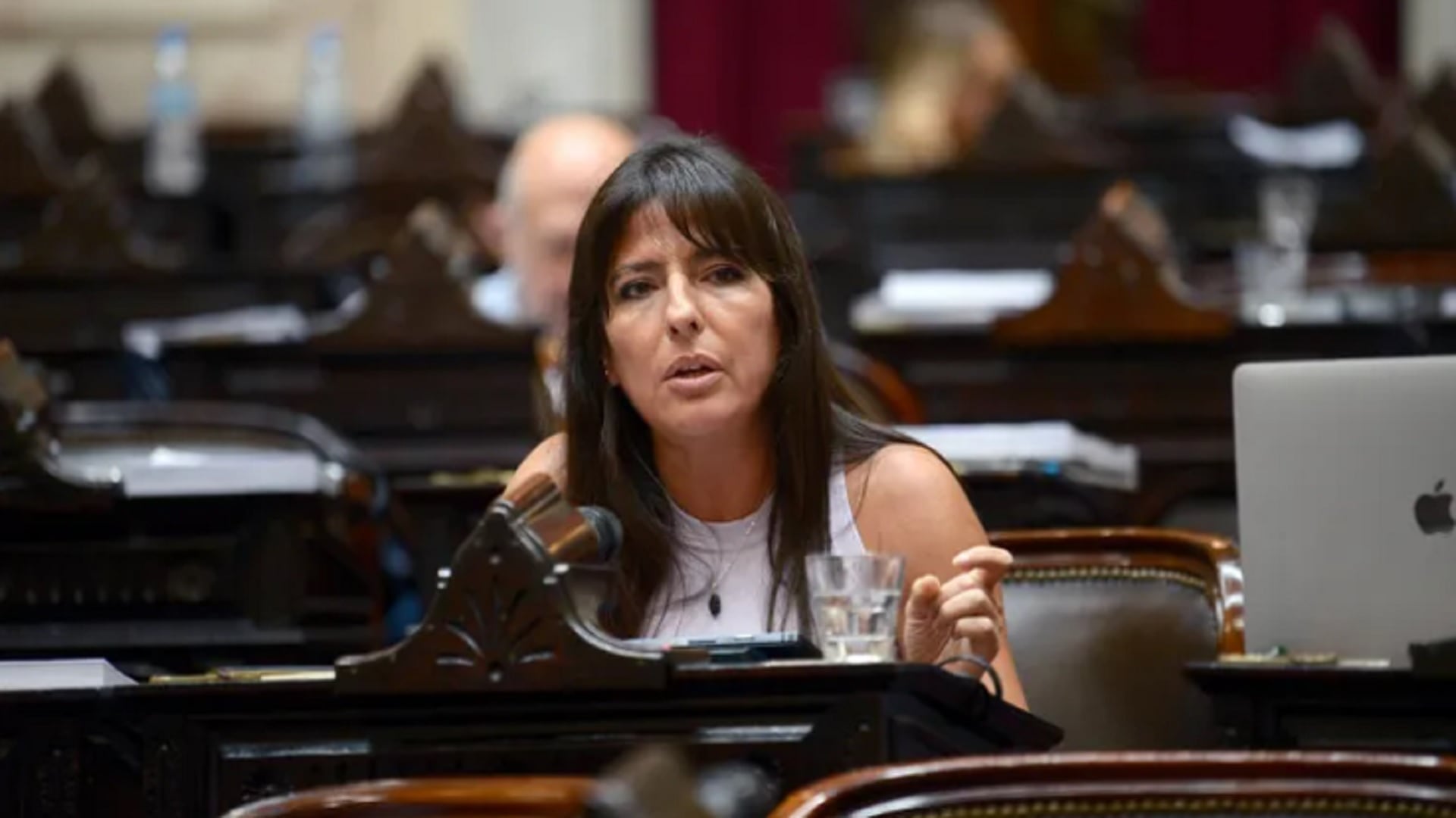 legisladores-radicales-electos-en-las-listas-de-lla-se-sumaran-a-los-bloques-de-la-ucr-y-no-a-los-libertarios-3 Legisladores radicales electos en las listas de LLA se sumarán a los bloques de la UCR y no a los libertarios