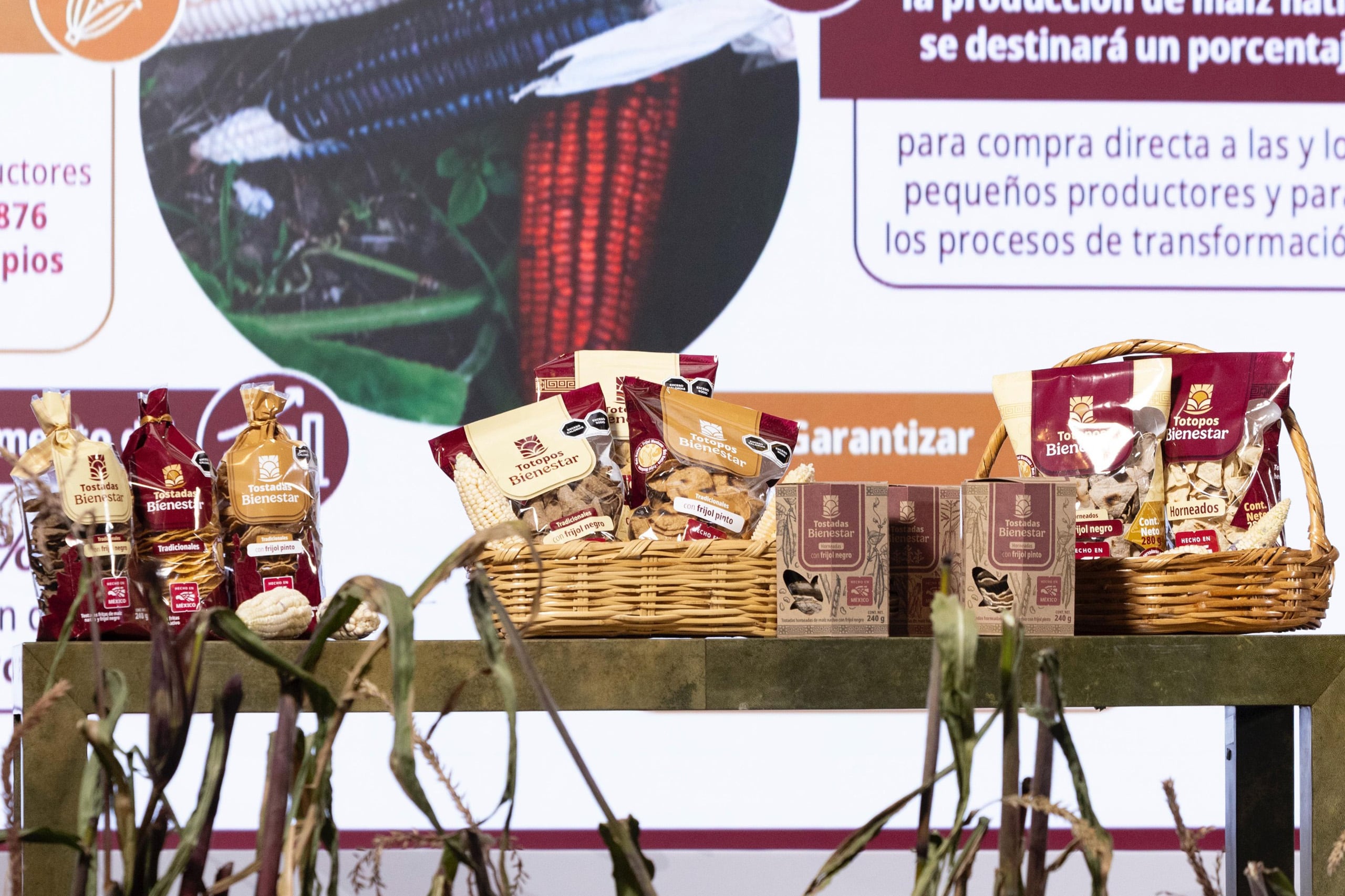 presentan-plan-nacional-de-maiz-nativo-asi-se-buscara-impulsar-el-cultivo-y-comercio-de-maiz-mexicano-2 Presentan Plan Nacional de Maíz Nativo: así se buscará impulsar el cultivo y comercio de maíz mexicano
