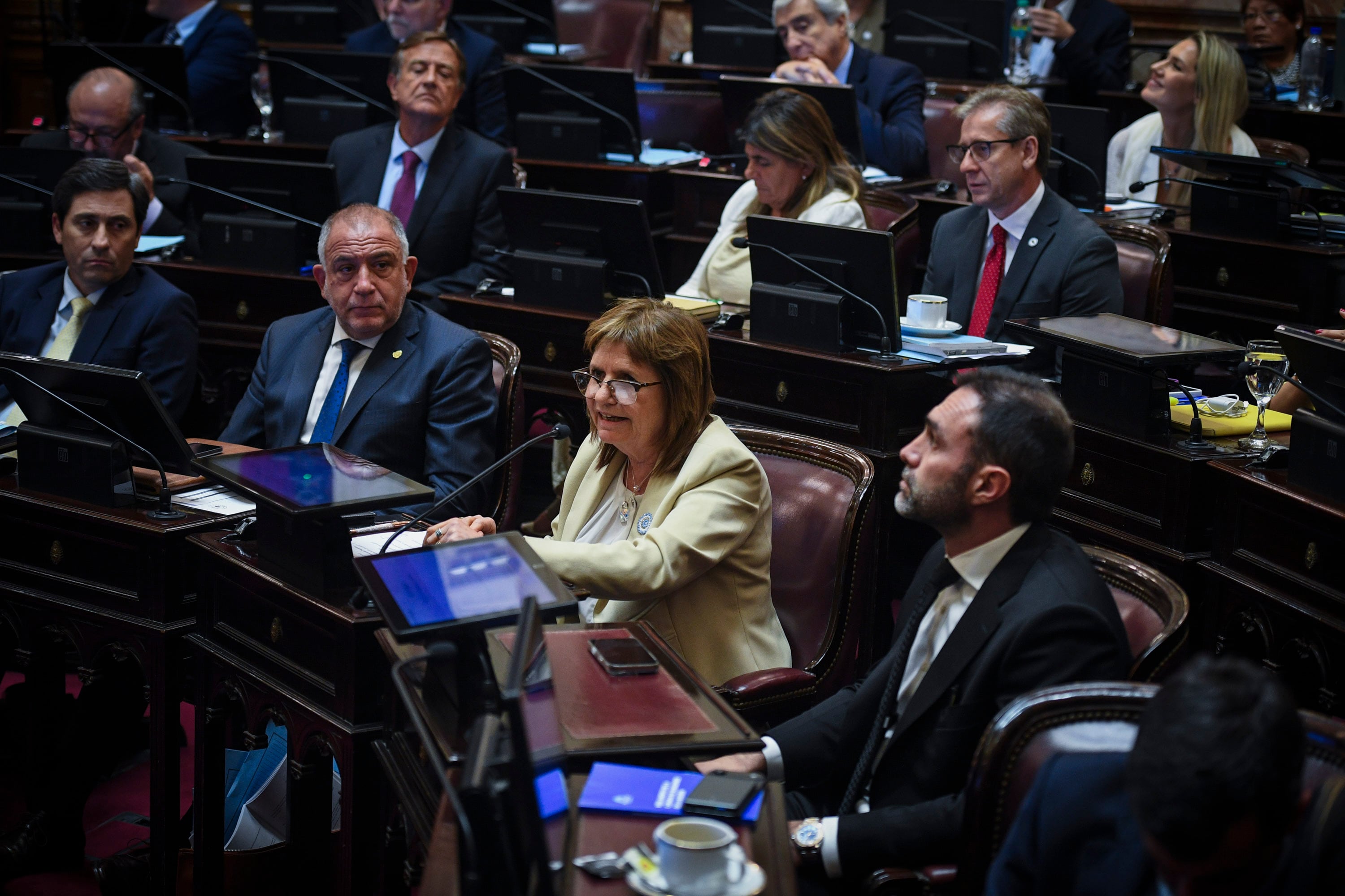 patricia-bullrich-es-historico-aprobar-un-presupuesto-sin-deficit-pese-al-kirchnerismo-que-manejaba-el-senado-como-el-patio-de-su-casa-5 Patricia Bullrich: “Es histórico aprobar un Presupuesto sin déficit, pese al kirchnerismo, que manejaba el Senado como el patio de su casa”