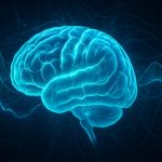 Alerta por el aumento de la demencia: expertos señalan un hábito que puede reducir el riesgo