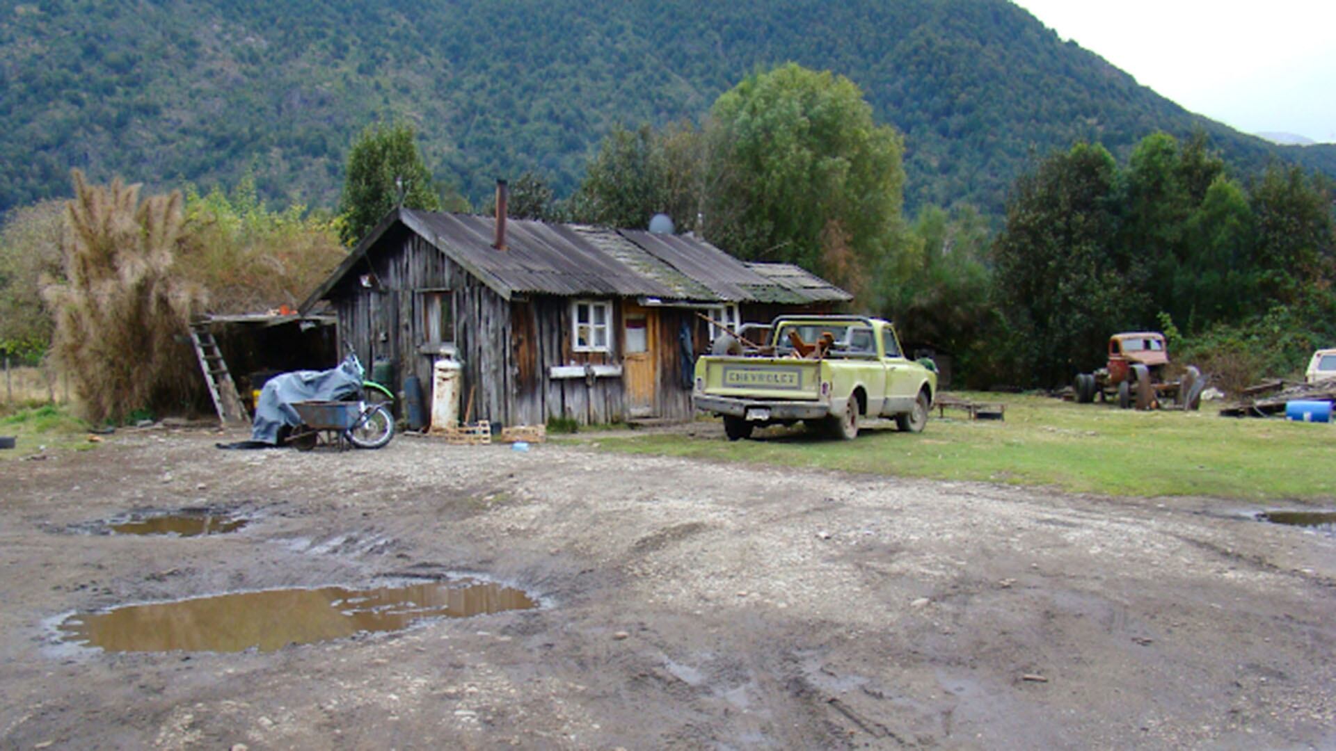 La región Centro, que incluye Buenos Aires, Santa Fe y Entre Ríos, concentra la mayor cantidad de casos confirmados durante la temporada 2025-2026 (Credito: FAUBA)