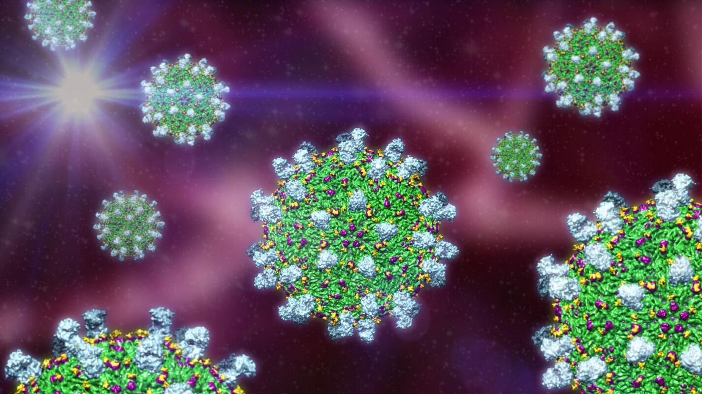 La vigilancia epidemiológica se mantiene intensificada para detectar casos tempranos y evitar la expansión del virus (Graduate Medical School Singapore)