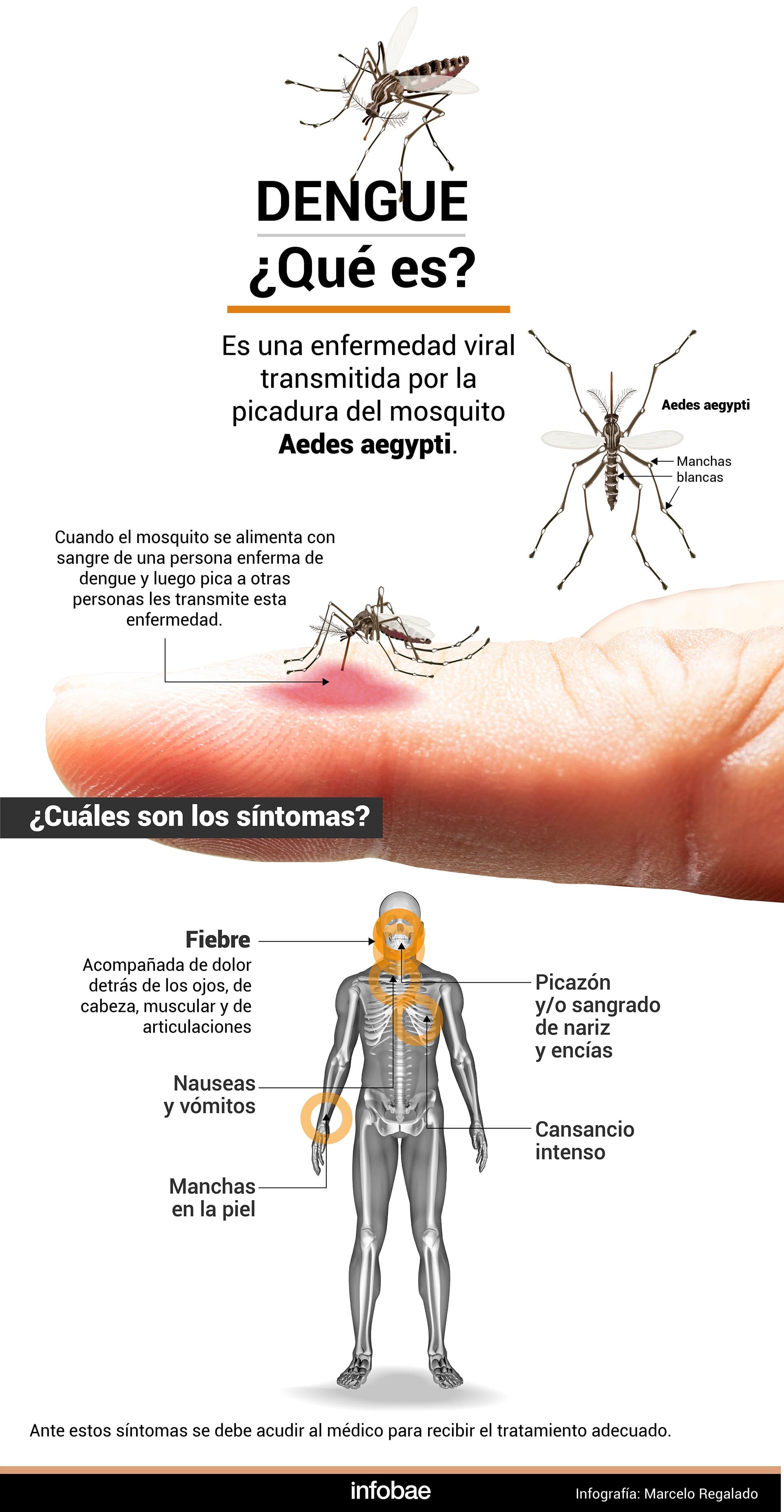 Cuando se tiene alta fiebre (38° o más) acompañada de uno o más síntomas como el dolor de cabeza puede tratarse de dengue (Marcelo Regalado)