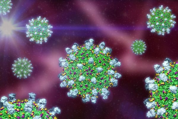 Alerta por riesgo de dengue en Córdoba: un monitoreo detectó un aumento de criaderos en viviendas