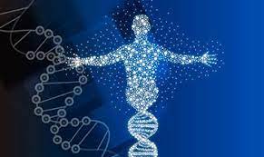 AlphaGenome combina contexto genomico amplio y precision a nivel de base algo que los modelos previos no lograban antes en genomica 