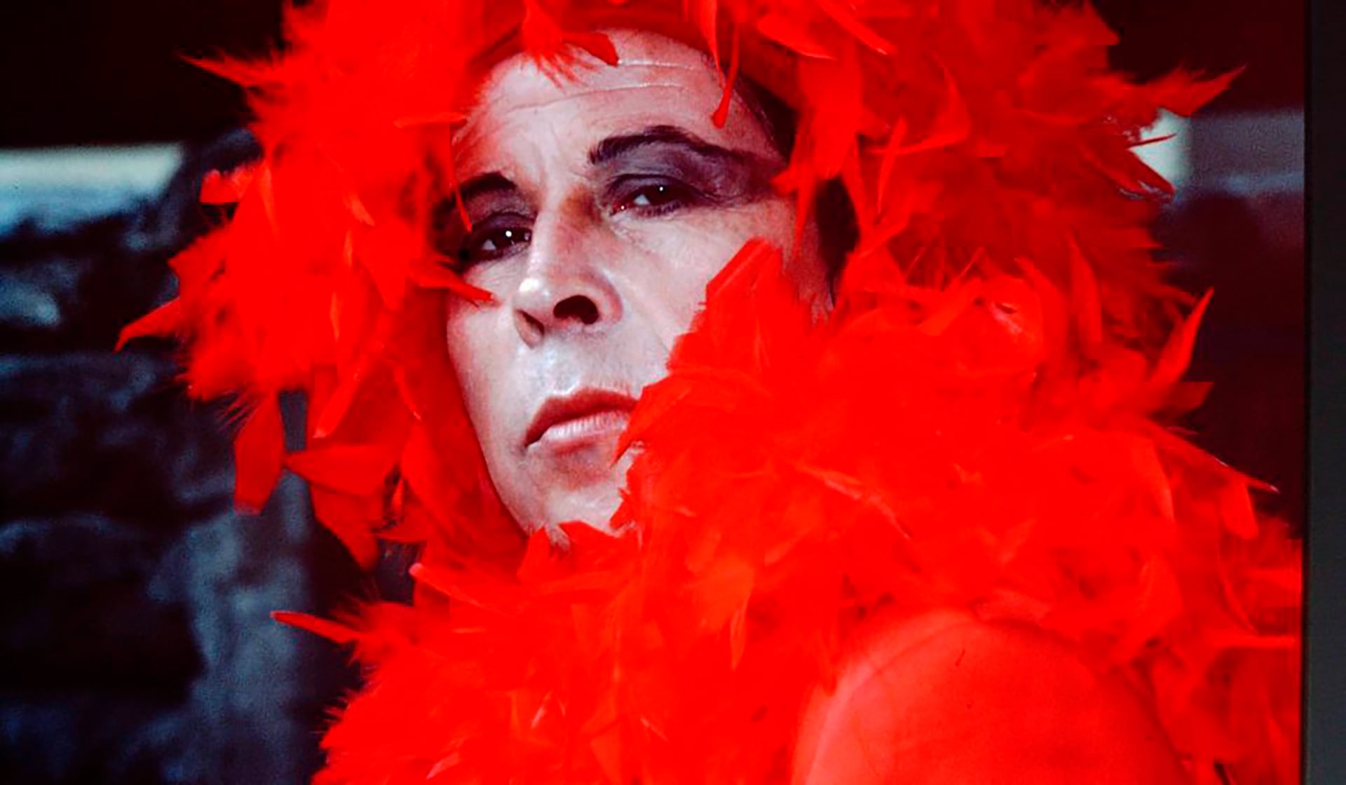 “Aquí está mi cara”: el lado oculto de Pedro Lemebel en una muestra íntima 