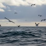 Brote de gastroenteritis en playas del sur de Brasil: cuáles son los síntomas y qué cuidados tener al viajar