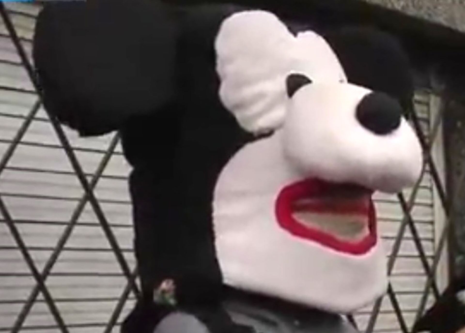 Noviembre de 2016: Tuttolomondo y la máscara de Mickey