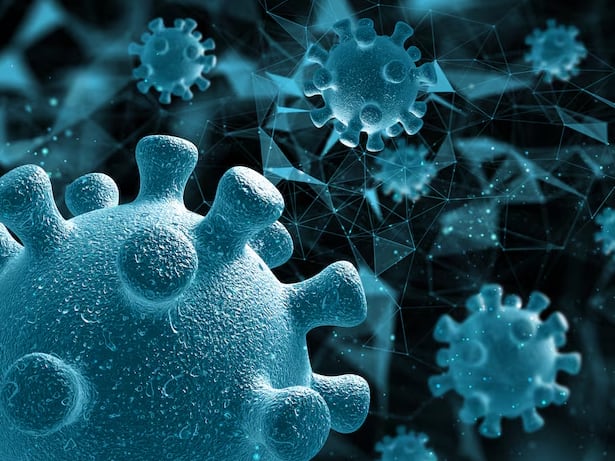 La falta de herramientas diagnósticas impide detectar de forma temprana la influenza D y el coronavirus canino HuPn-2018 en humanos y animale (Freepik)