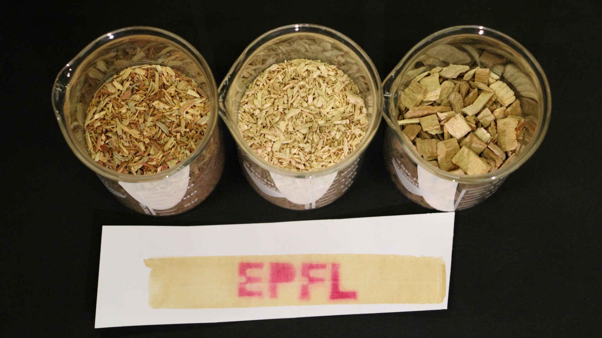 La lignina refinada, obtenida mediante fraccionamiento asistido por aldehído, permite una impresión clara y resistente en el papel térmico alternativo/2025 EPFL/J. Luterbacher CC-BY-SA 4.0 