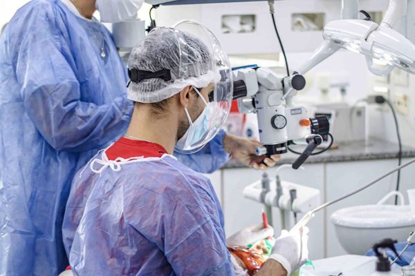 Cómo fue el primer día de atención del Hospital Odontológico de la UBA durante la temporada de verano