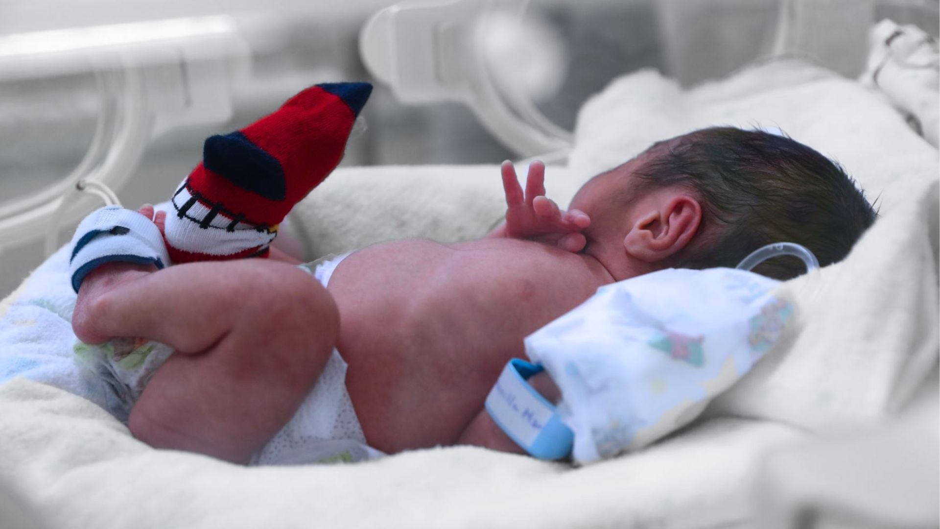 Los análisis metagenómicos revelan la presencia de genes de resistencia a antimicrobianos en la leche materna y el microbioma infantil 