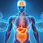 Cómo la menta en el mate favorece la concentración natural