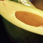 Cómo una palta al día puede cambiar tu salud, según la ciencia