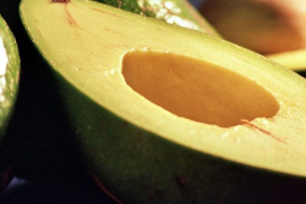 Cómo una palta al día puede cambiar tu salud, según la ciencia