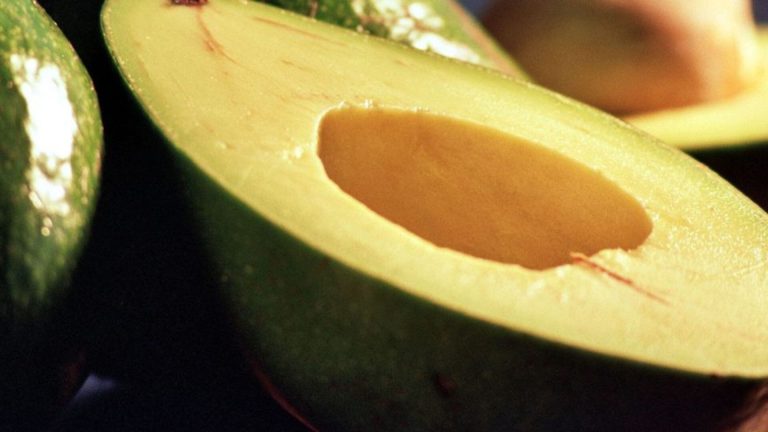 Cómo una palta al día puede cambiar tu salud, según la ciencia
