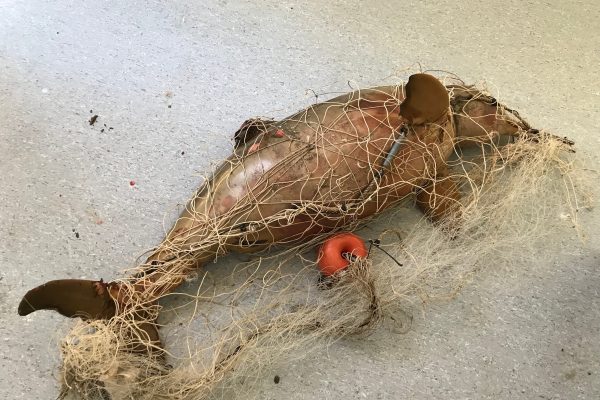 Contaminación en las costas bonaerenses: el 78% de la basura en las playas son plásticos