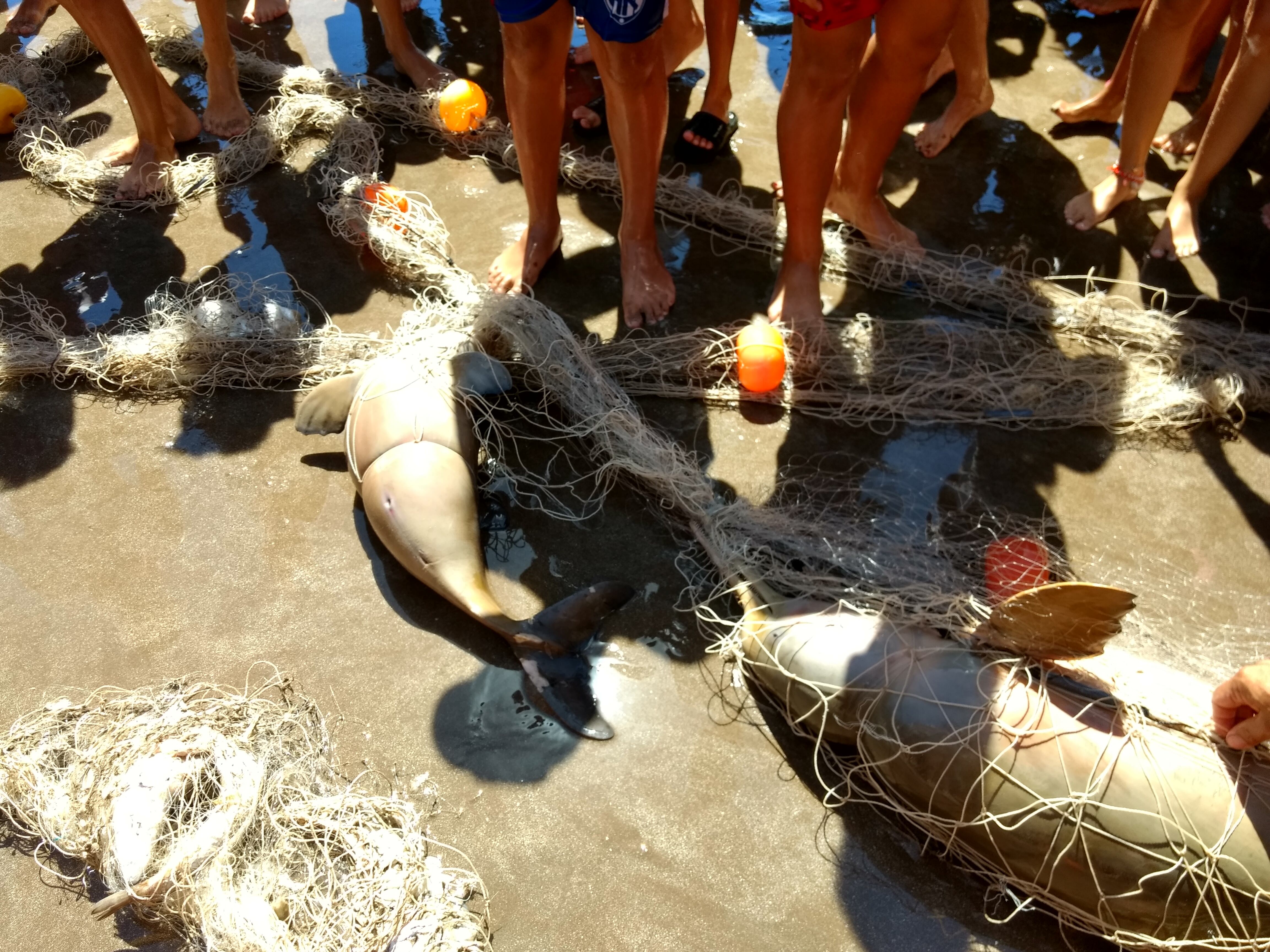 Fragmentos plásticos, colillas y envoltorios dominan la basura costera en Buenos Aires
