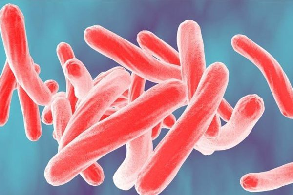 Descubren bacterias que degradan colorantes y podrían reducir la contaminación en arroyos del AMBA