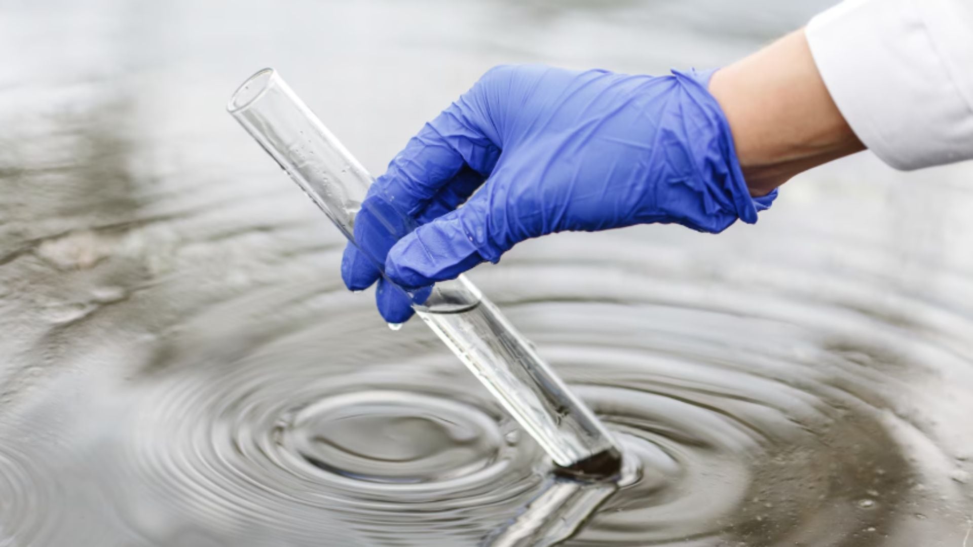 El hallazgo de dos bacterias nativas del AMBA permite degradar hasta el 96% de colorantes industriales difíciles de eliminar (Freepik)